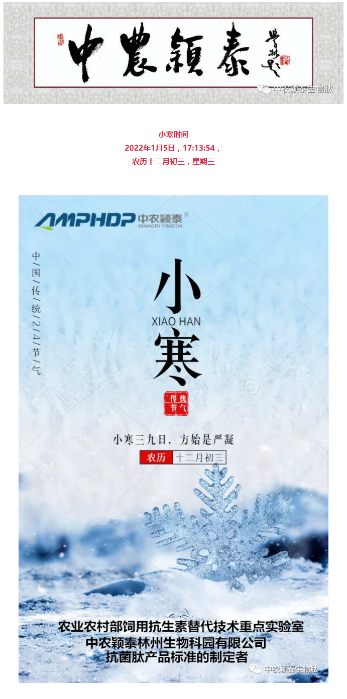 2022年（第2期）：小寒今日至，年味已冒頭_01