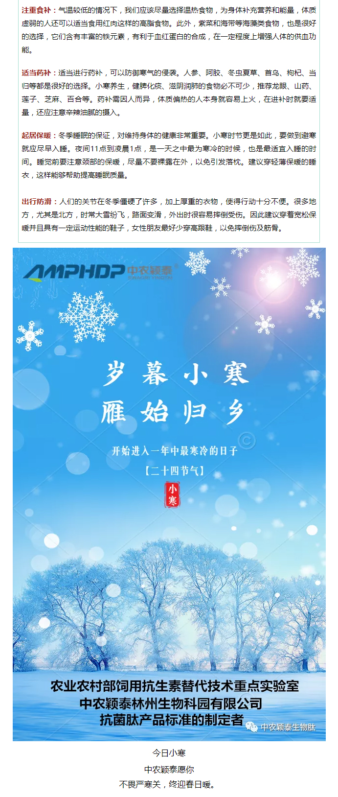 2022年（第2期）：小寒今日至，年味已冒頭_04