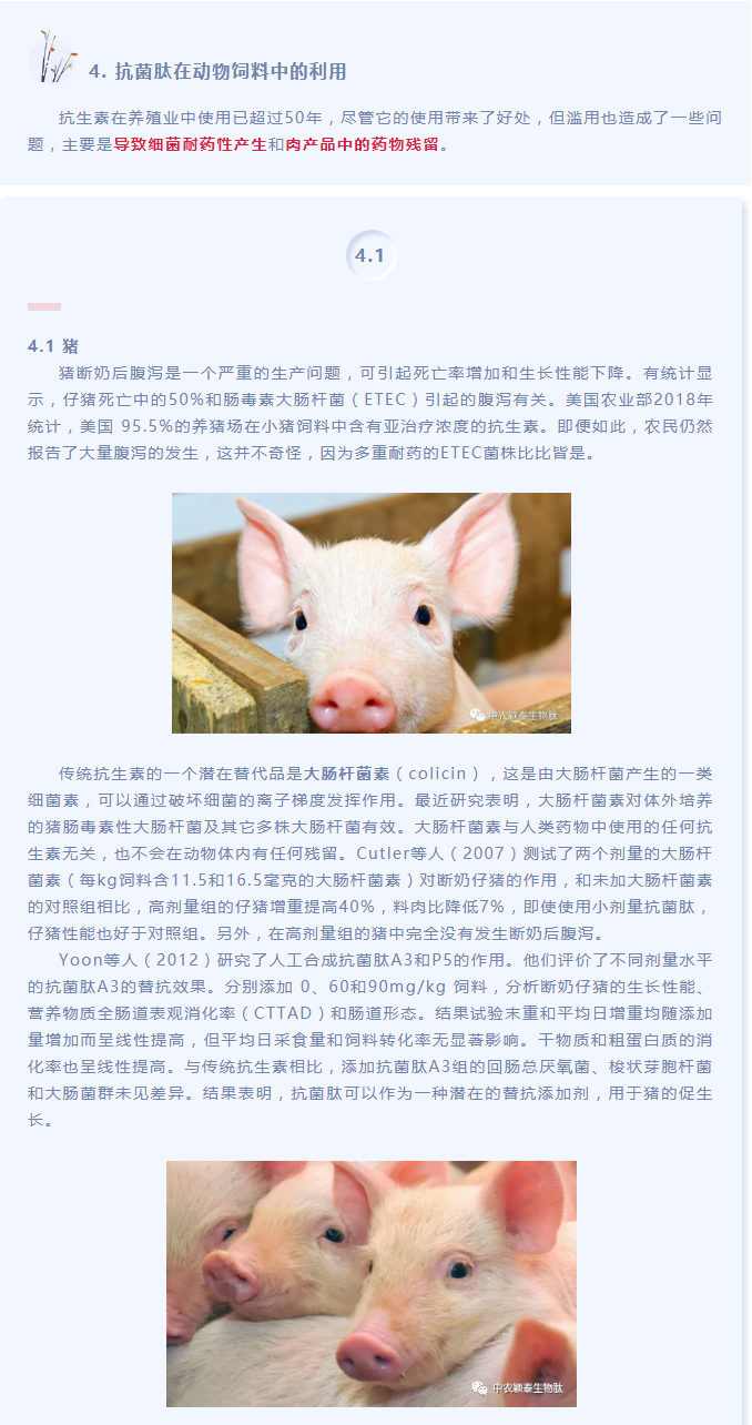 抗菌肽作為替抗飼料添加劑對(duì)動(dòng)物生產(chǎn)、食品安全和公共衛(wèi)生影響的綜述（下）_01