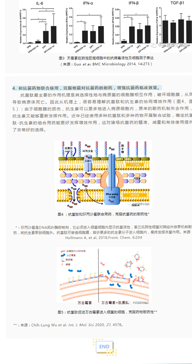 淺談抗菌肽添加劑在養(yǎng)豬現(xiàn)場的應用_03
