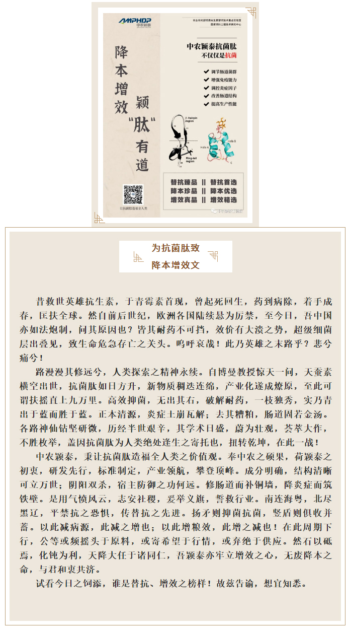 降本增效，穎“肽”有道——抗菌肽降低飼料營養(yǎng)水平應(yīng)用方案_01
