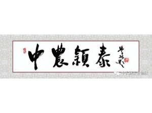 2021年：工作動態(tài)，中農(nóng)穎泰工會順利換屆
